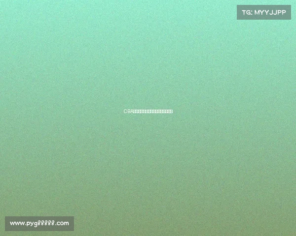 CBA退役球员的辉煌历程与未来发展探索