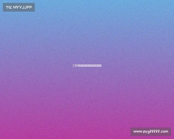 CBA退役球员的辉煌历程与未来发展探索